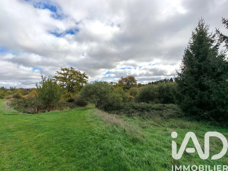 Terrain - 113 246 m²