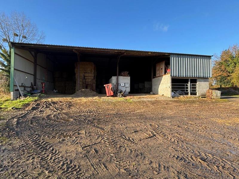 Maison en pierre - 145 m² - 8 pièces