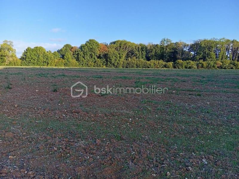 Terrain agricole - 19 960 m²