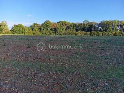Terrain agricole - 19 960 m²