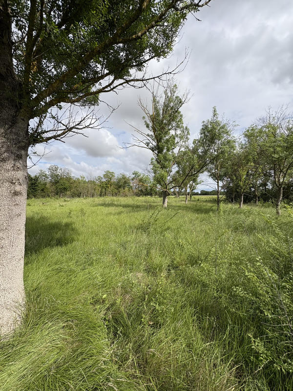 Terrain de loisirs - 3 800 m²