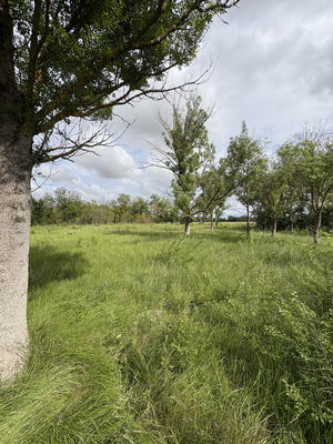 Terrain de loisirs - 3 800 m²