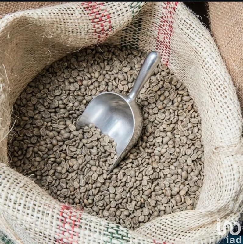 Local commercial - 60 m²