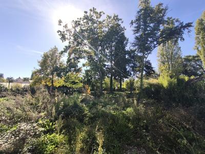 Terrain - 576 m²