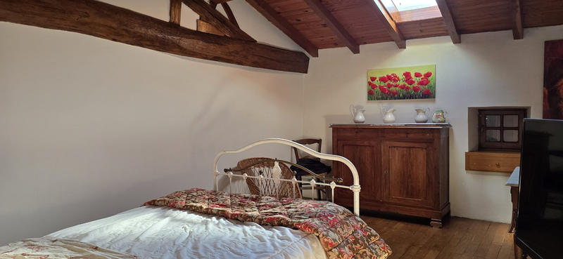 Viager - Maison ancienne - 248 m² - 11 pièces