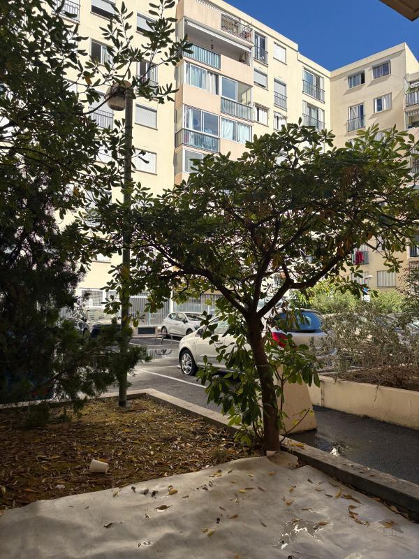 Studio - 18 m² - 1 pièce