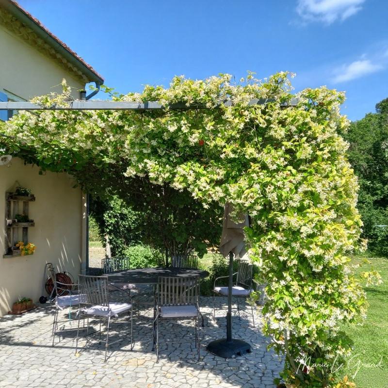 Maison en pierre - 162 m² - 8 pièces