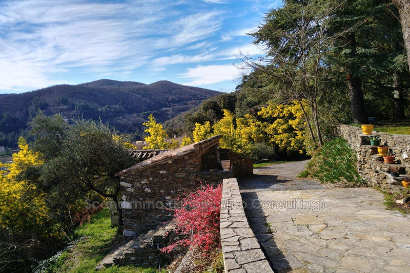 Maison - 199 m² - 5 pièces