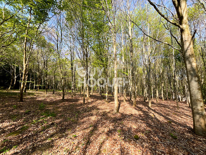 Maison - 460 m² - 16 pièces