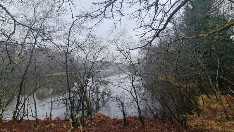 Maison - 31 m² - 2 pièces