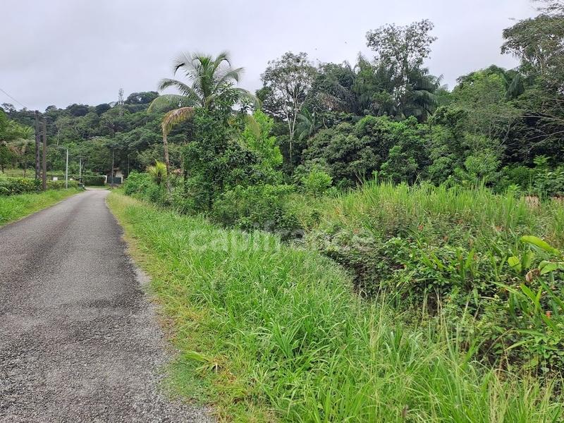 Terrain constructible - 3 444 m²