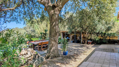 Mas - 239 m² - 6 pièces