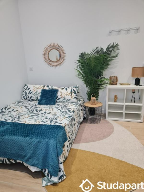 Appartement - 16 m² - 1 pièce