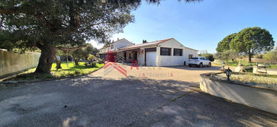 Mas - 303 m² - 9 pièces