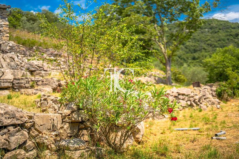 Maison - 305 m² - 14 pièces