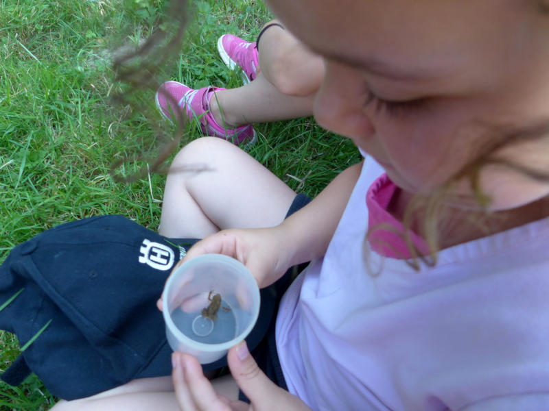 Drôle de brindilles