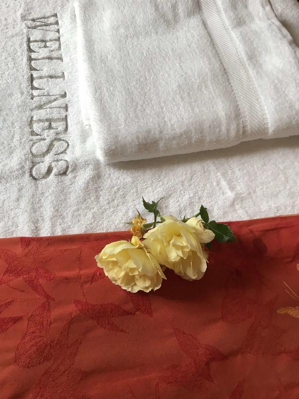 motion waves institute