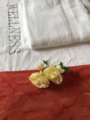 motion waves institute