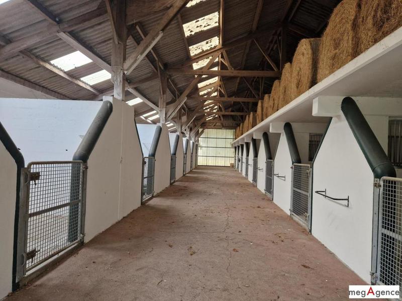 Maison - 168 m² - 5 pièces