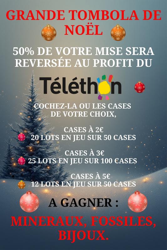 1er marché de Noël des minéraux Landéda