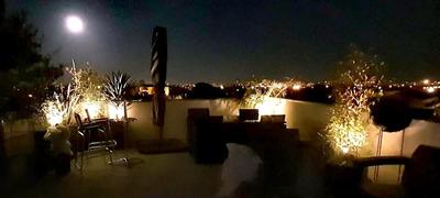 Appartement - 88 m² - 4 pièces