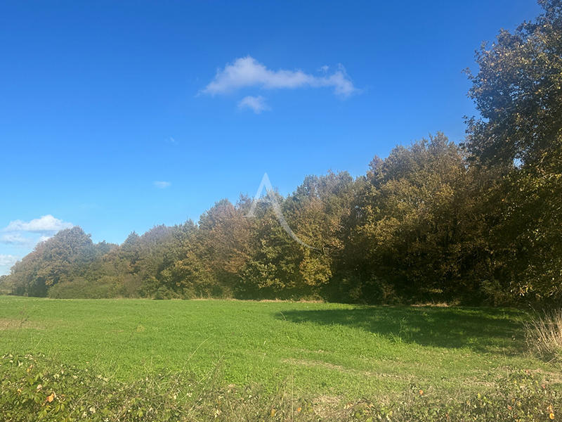 Terrain - 29 040 m²