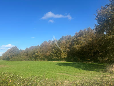 Terrain - 29 040 m²