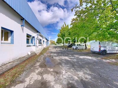 Local d'activités - 550 m²