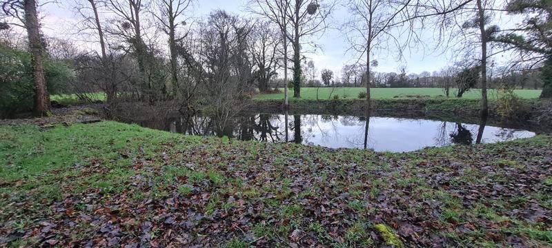 Maison - 190 m² - 5 pièces