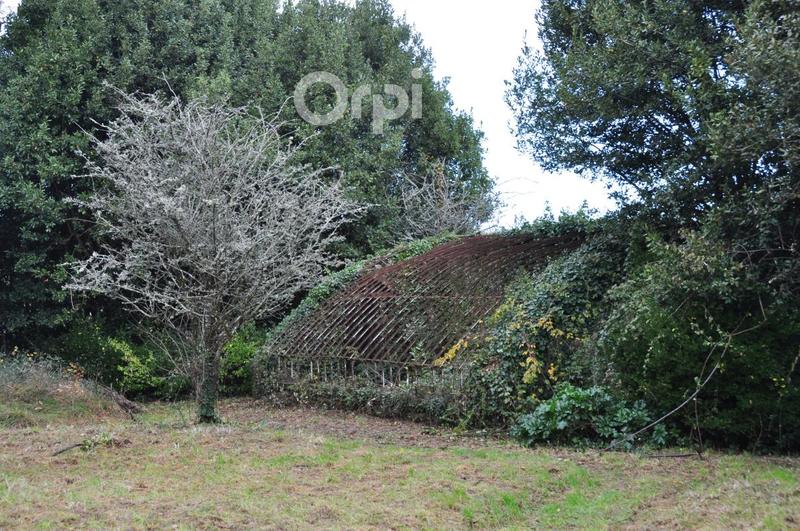 Manoir - 335 m² - 12 pièces