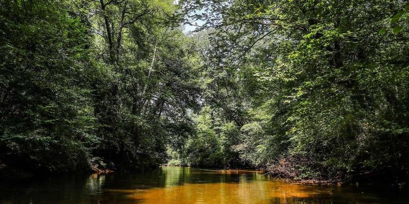 Conférence - le Ciron, la rivière du Sud Gironde