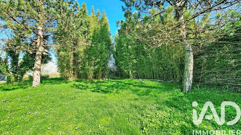 Maison - 205 m² - 6 pièces