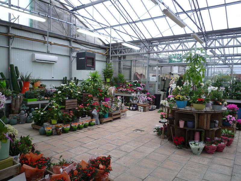 Local commercial - 1 022 m² - 7 pièces