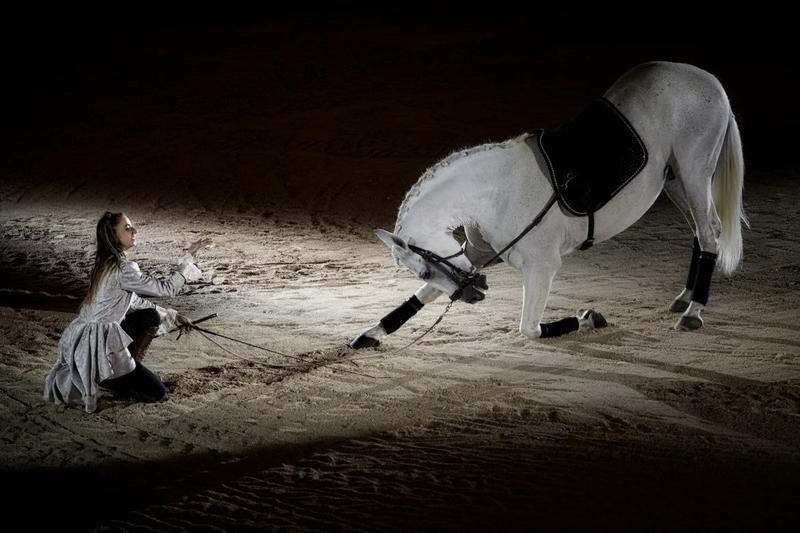 Spectacle 2026 du Cabaret Équestre des Mylords/"Les 4 Saisons des Chevaux"/