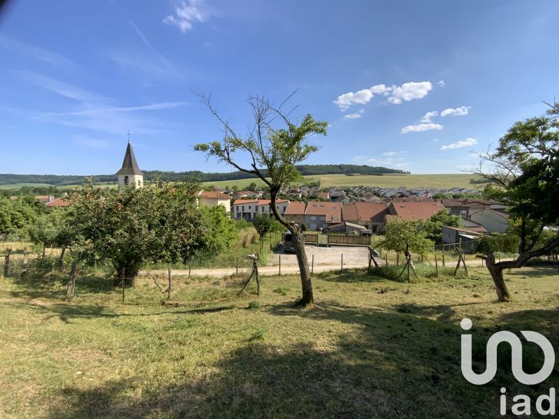 Terrain - 595 m²