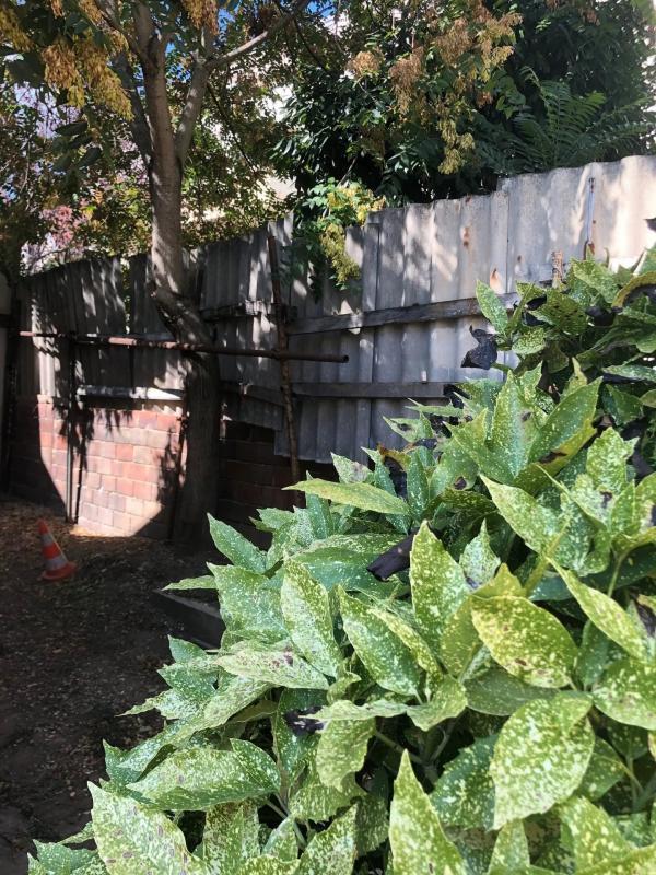 Pavillon - 60 m² - 3 pièces