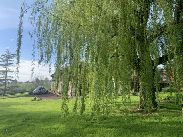 Maison - 185 m² - 7 pièces