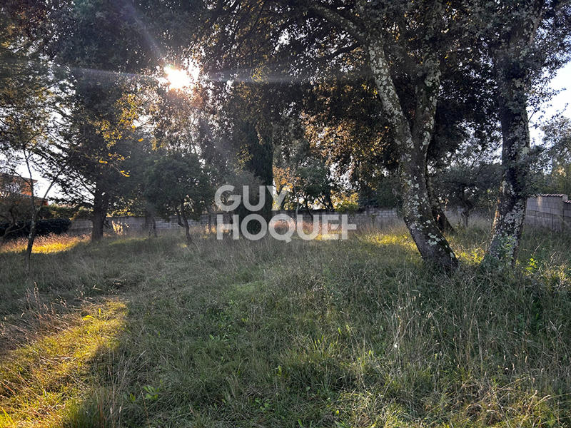 Maison - 132 m² - 5 pièces