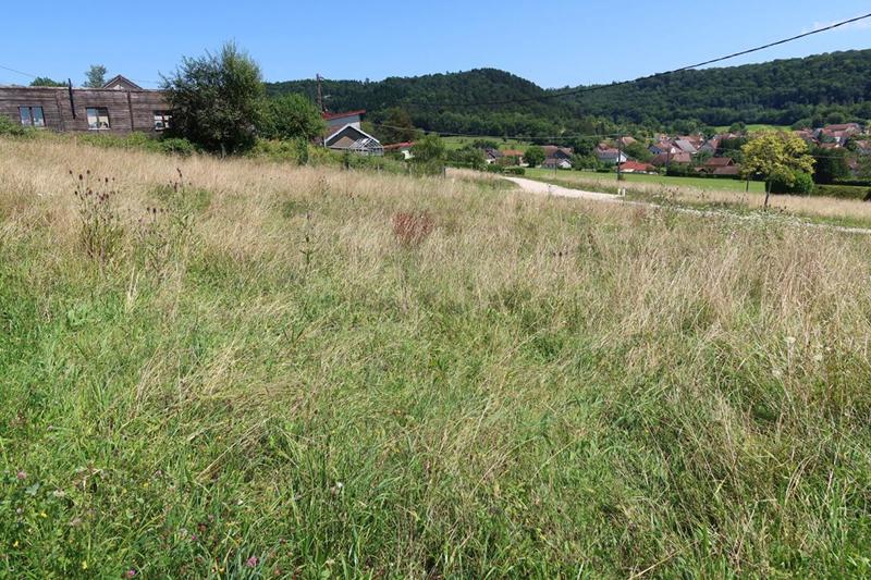Terrain constructible - 982 m²