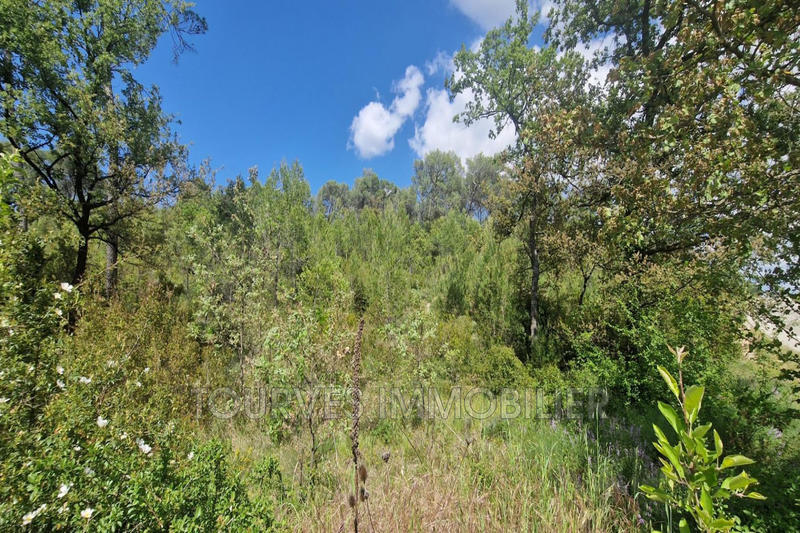 Terrain de loisirs - 10 748 m²