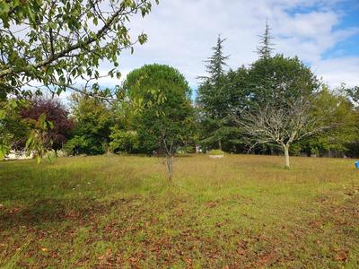 Terrain constructible - 1 000 m²