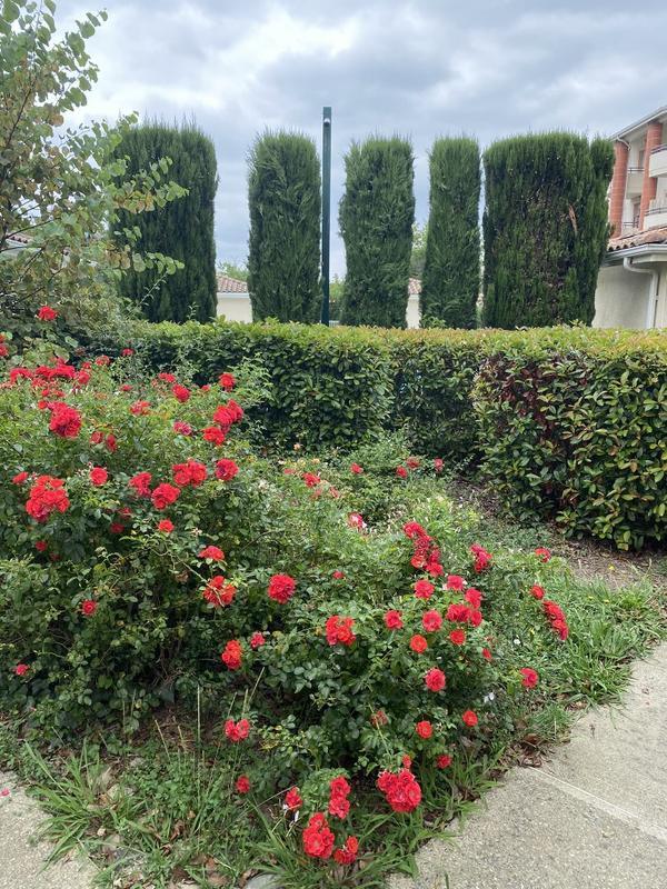 Appartement - 50 m² - 3 pièces