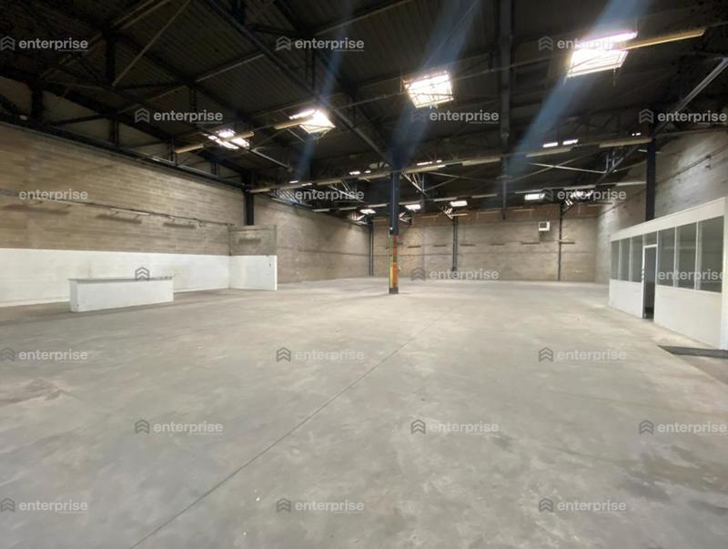Local d'activité / Entrepôt - 913 m²
