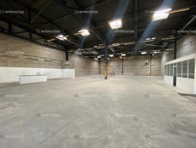 Local d'activité / Entrepôt - 913 m²