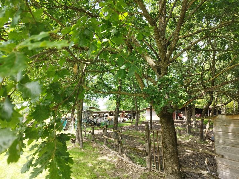 Propriété - 221 m² - 10 pièces