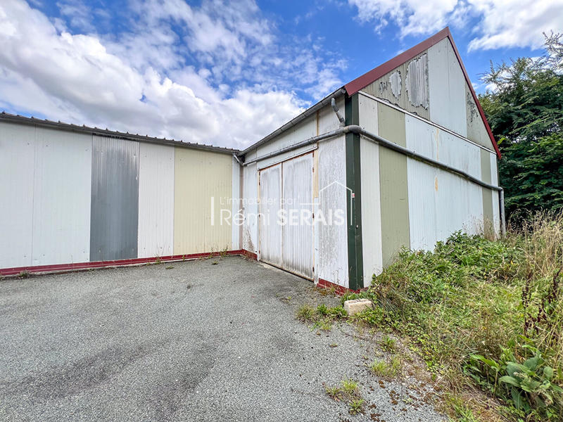 Local d'activité / Entrepôt - 300 m²