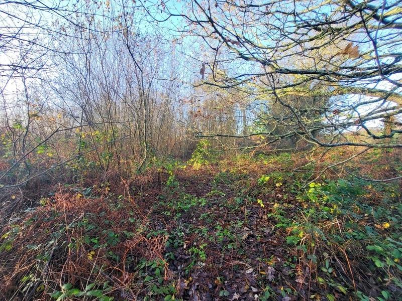 Terrain - 62 680 m²