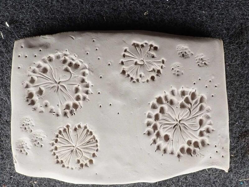 Empreintes végétales sur argile