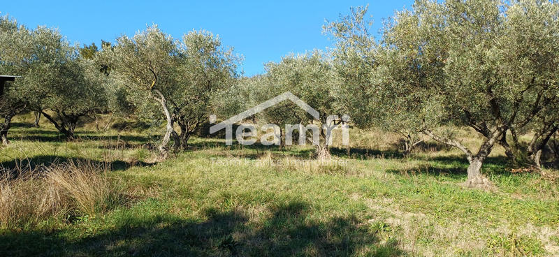 Terrain - 2 504 m²