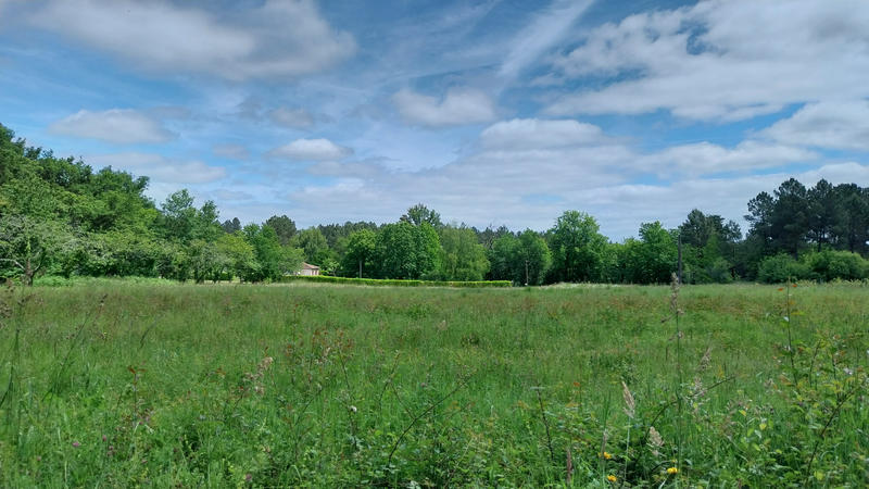 Terrain - 18 003 m²